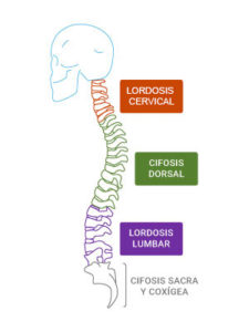 Lordosis Cervical - Fisioterapia