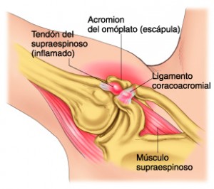 fisioterapeuta-madrid-2