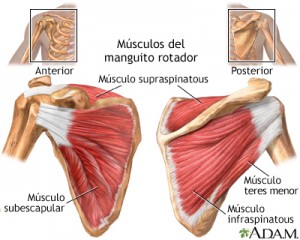 fisioterapeuta-madrid-3