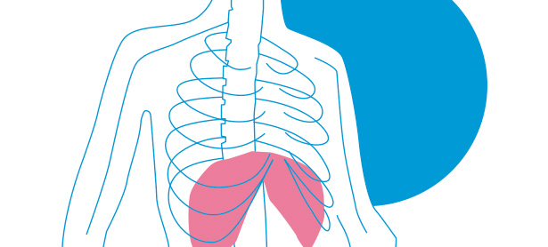 Todo Sobre el Diafragma - Fisioterapia Goya Madrid