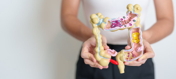 Colon Fisioterapia Goya