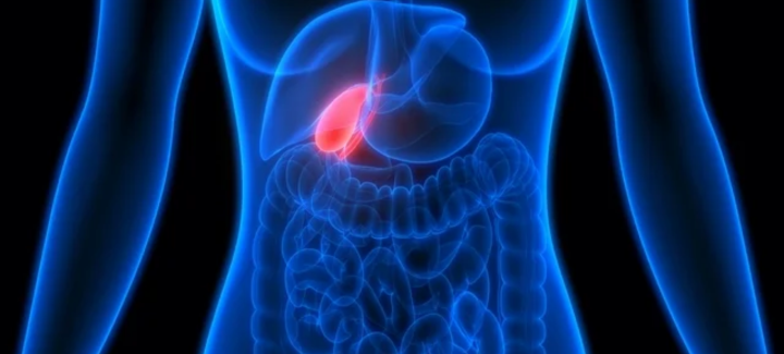 Vesícula, nauseas y estreñimiento Fisioterapia Goya