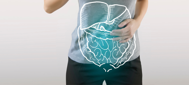 SIBO: Cómo la Fisioterapia y la Osteopatía Ayudan a Mejorar tu Salud Digestiva